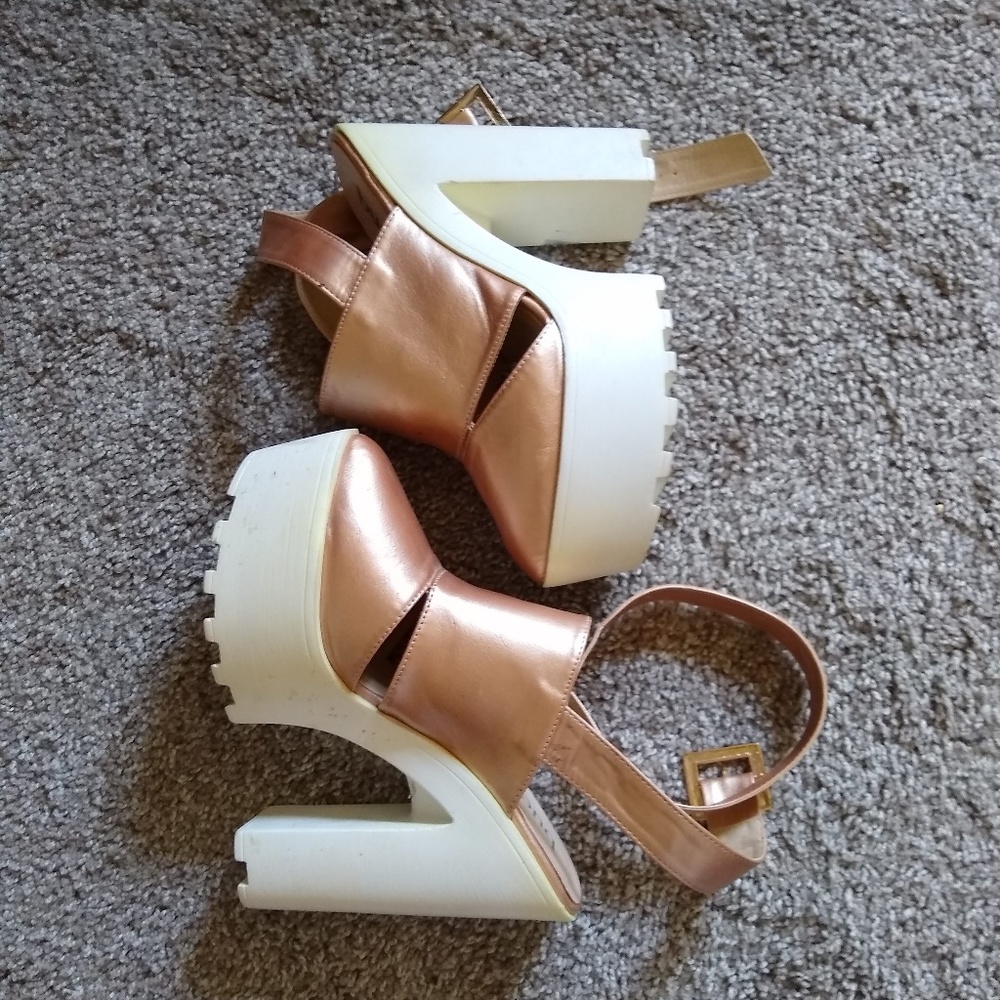 Rose gold platform heels, Bucco Capensis